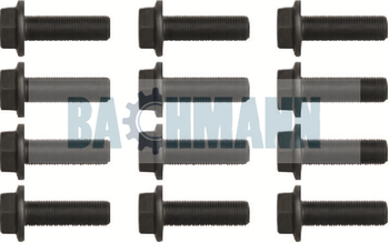 [111274] Caliper Bolt Kit