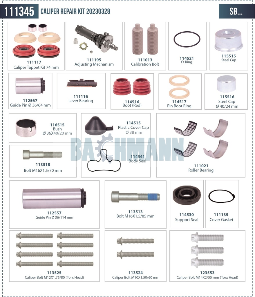 Caliper Repair Kit (Special)