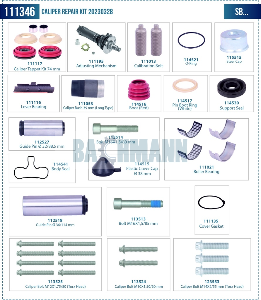 Caliper Repair Kit (Special)