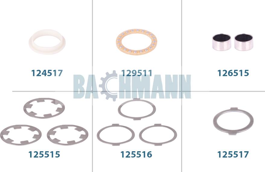 Caliper Mechanism Repair Kit