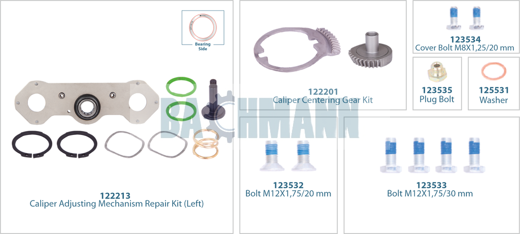 Caliper Mechanism Repair Kit (Left) 