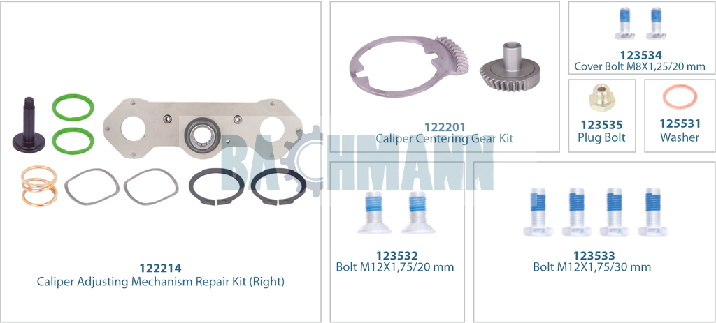 Caliper Mechanism Repair Kit (Right) 