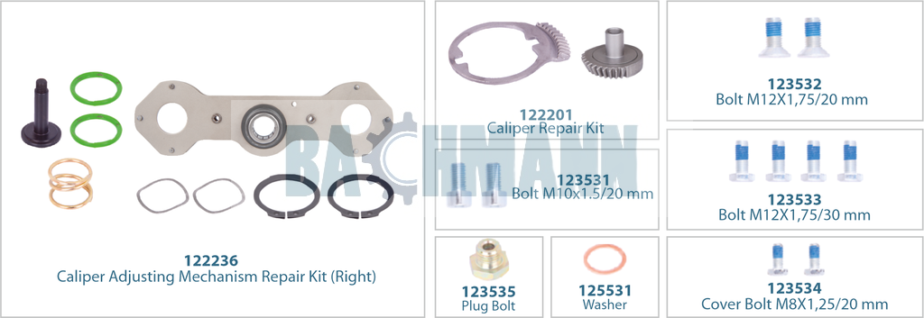 Caliper Mechanism Repair Kit (Right) 