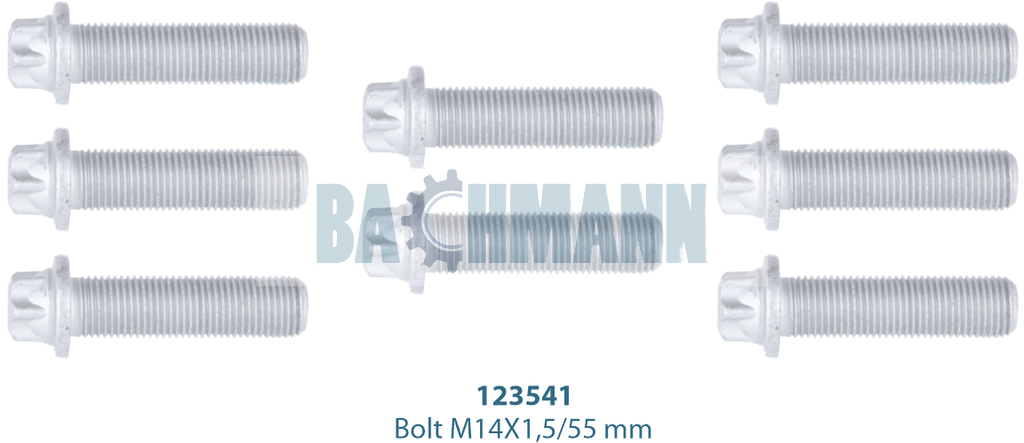 Caliper Cover Bolt Kit