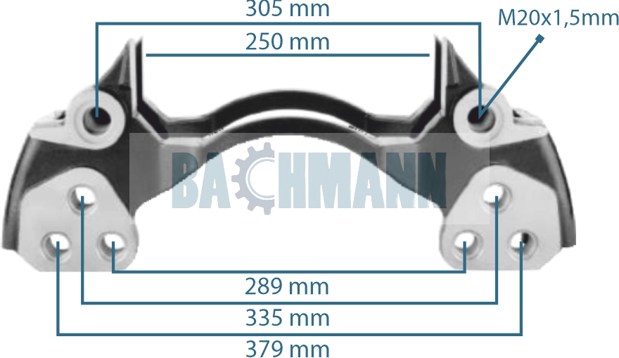 Caliper Carrier D LISA