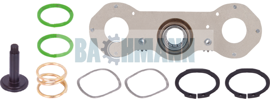 Caliper Mechanism Repair Kit (Right) 