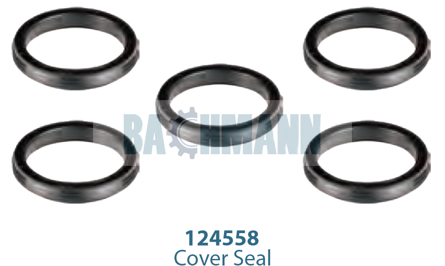 Caliper Seal Kit