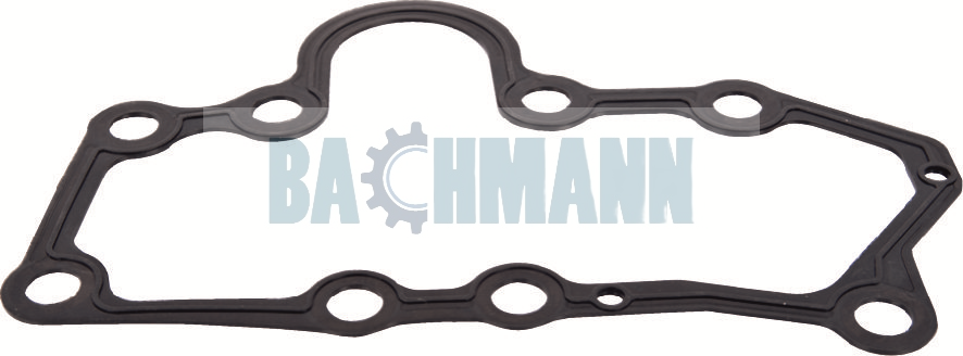 Caliper Gasket 