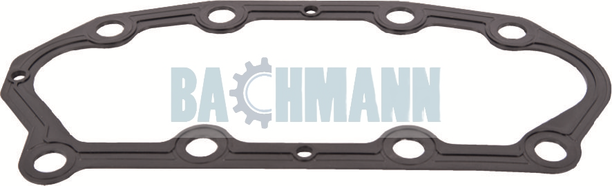 Caliper Gasket 