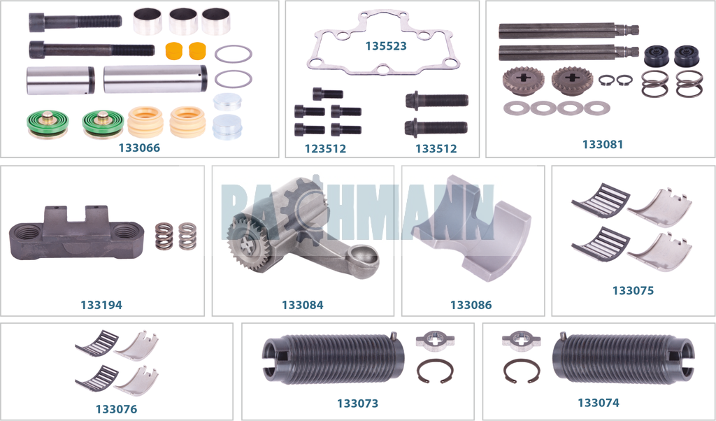 Caliper Complete Repair Kit