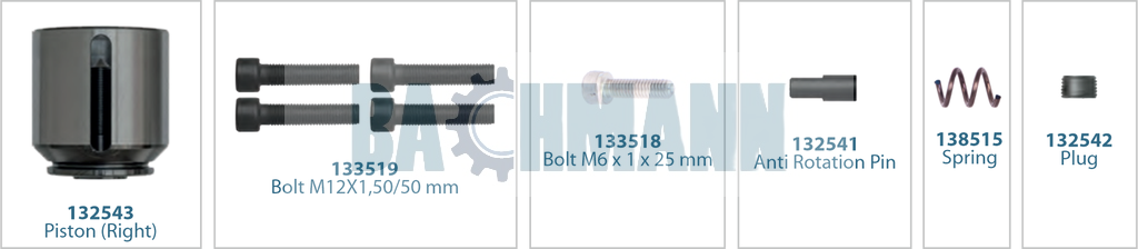 Caliper Repair Kit