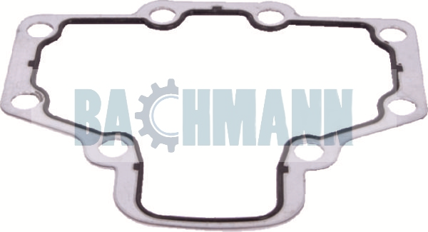 Caliper Gasket 