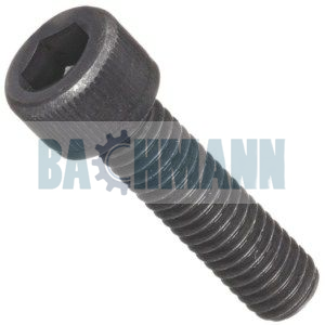 Caliper Bolt M14X2/55 mm