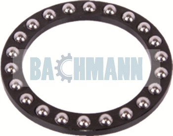 [149513] Caliper Roller Bearing 