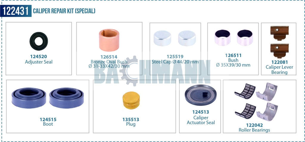 Caliper Repair Kit (Special)