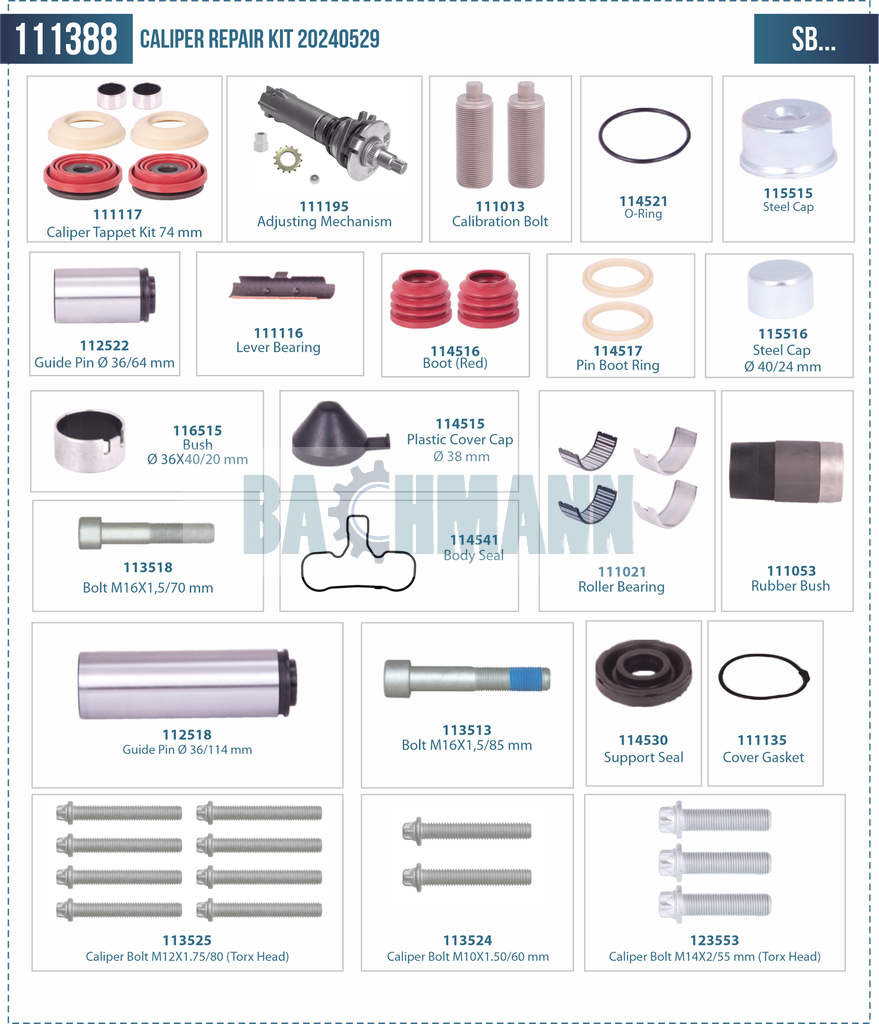 Caliper Repair Kit (Special)