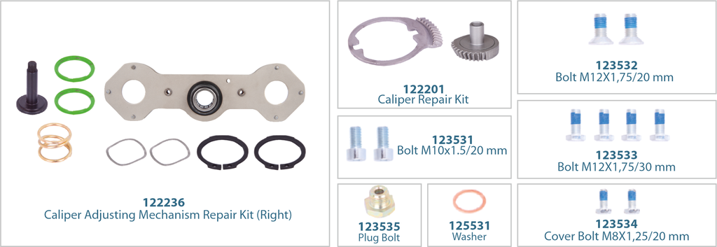 Caliper Mechanism Repair Kit (Right) 