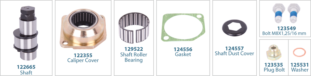 Caliper Eccentric Shaft Kit