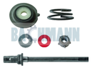 Caliper Adjusting Mechanism Repair Kit Allen Head