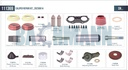 Caliper Repair Kit (Special)