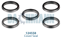 Caliper Seal Kit