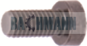 Caliper Bolt M8 X 16 mm