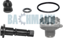 Caliper Adjuster Locking Pin Kit